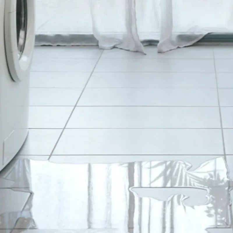 Appliance Leak Cleanup in Godfrey, IL