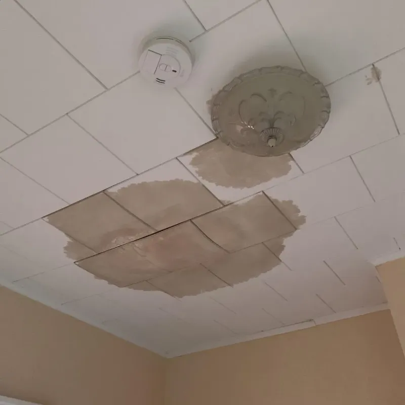 Ceiling Water Damage Repair in Godfrey, IL