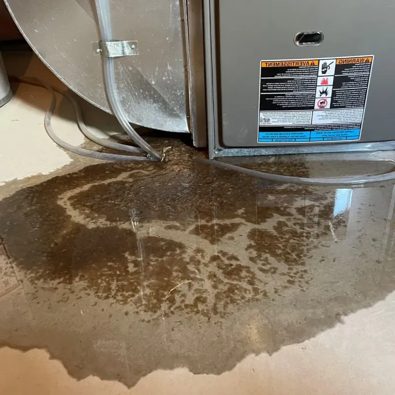 Pipe Burst and Leak Restoration in Godfrey, IL