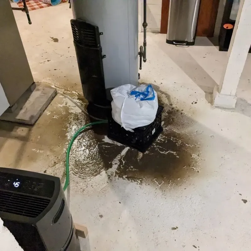 Sewage Backup Cleanup Service in Godfrey, IL